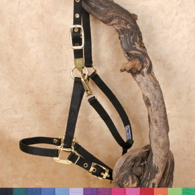 Hamilton Deluxe Arabian Halter Riimu