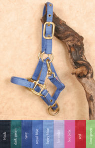 Riimu Hamilton Deluxe Pony/Foal Halter