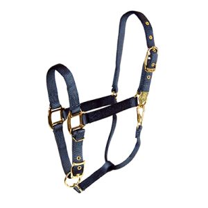 Riimu Hamilton Deluxe Pony/Foal Halter