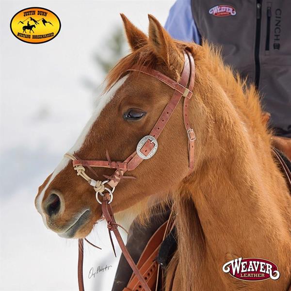 Sidepull/Kuolaimettomat suitset Bitless Bridle Justin Dunn