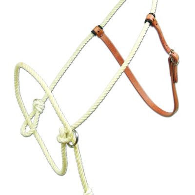 Koulutusriimu PC Training Halter