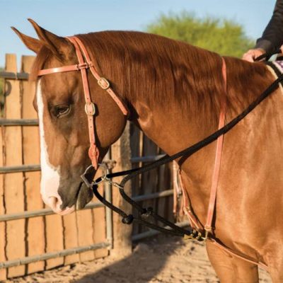 Draw Rope Martingale AD "The Black Rope"