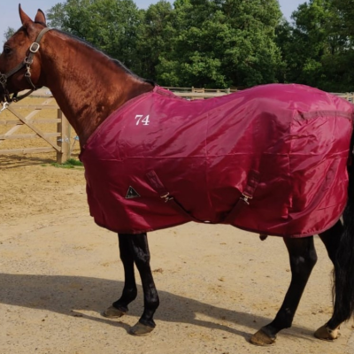 Cattleman's Stable Sheet talliloimi