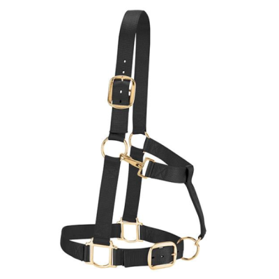 Riimu Weaver Original Adjustable Halter Draft Horse