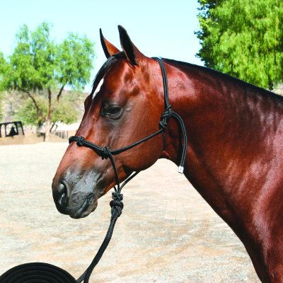 Professional's Choice Clinician Halter naruriimusetti