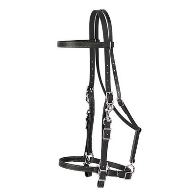 Suitsi-Riimusetti Weaver Trail Gear Halter Bridle