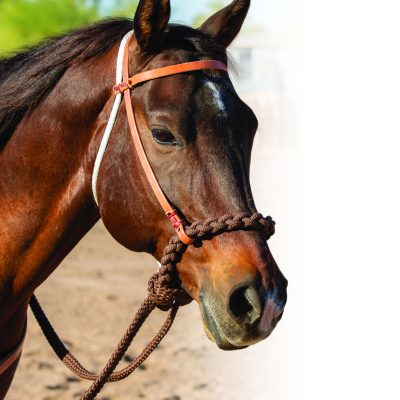 Professional's Choice Loping Hackamore