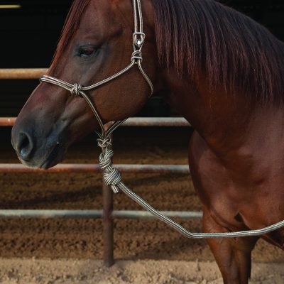 Professional's Choice Easy On Rope halter naruriimusetti