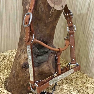 Showriimu GVR Silver Plates, koko Weanling