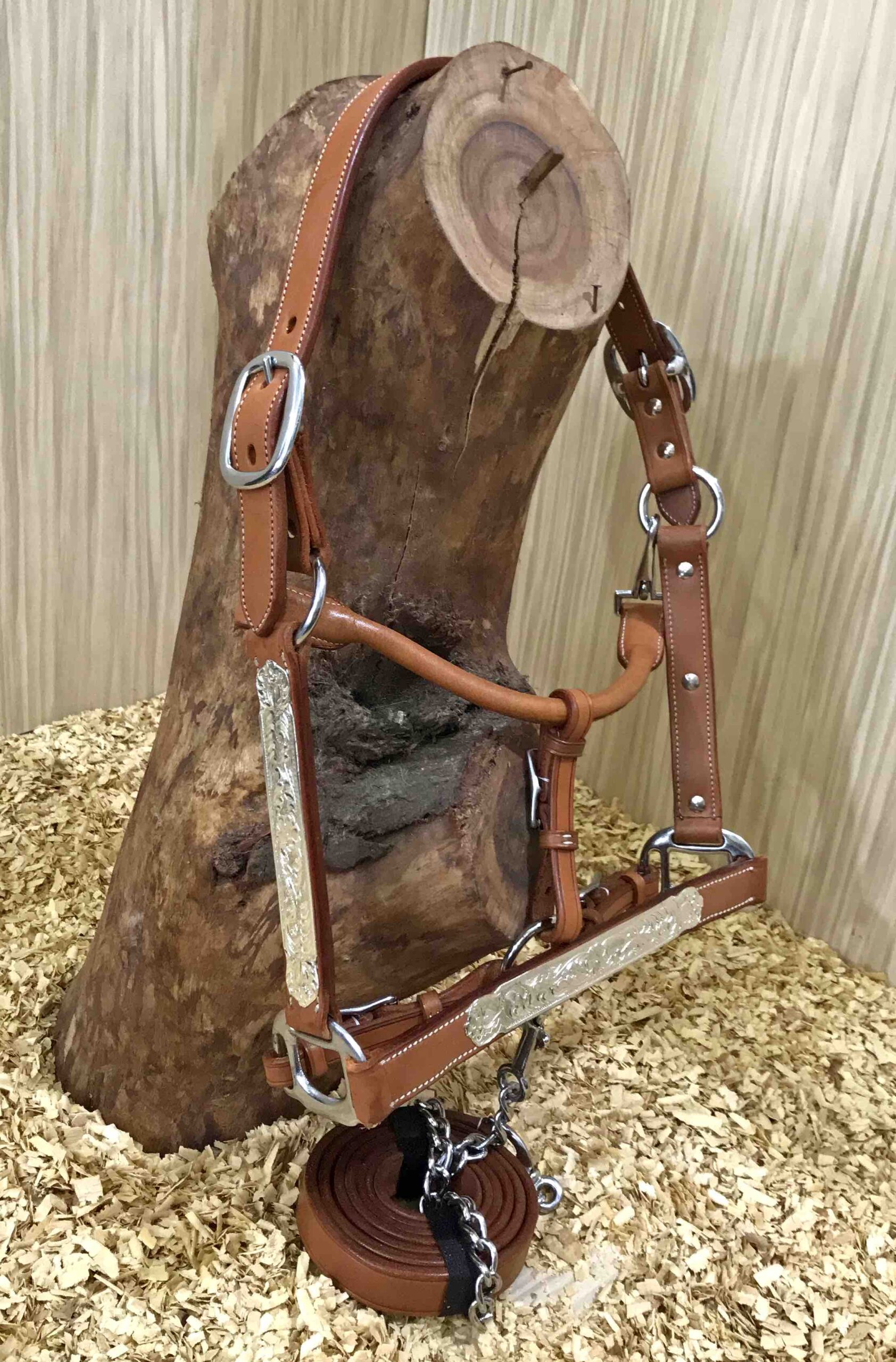 Showriimu GVR Silver Plates, koko Weanling