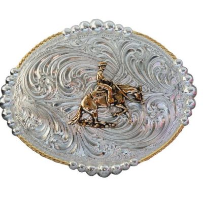 Vyönsolki Reining Horse