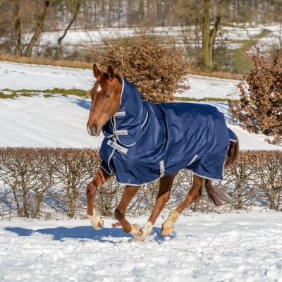 Bucas Freedom Turnout Light Full Neck ulkoloimi kaulakappaleella
