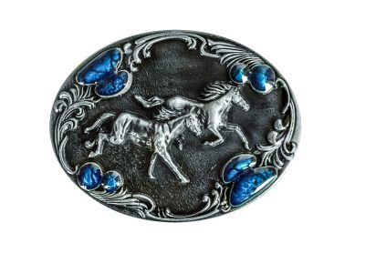 Vyönsolki Horses