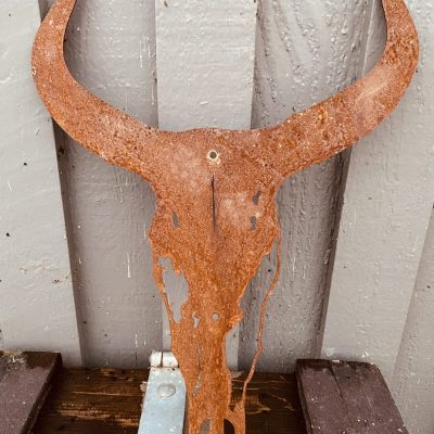 All That Western Longhorn Rusty