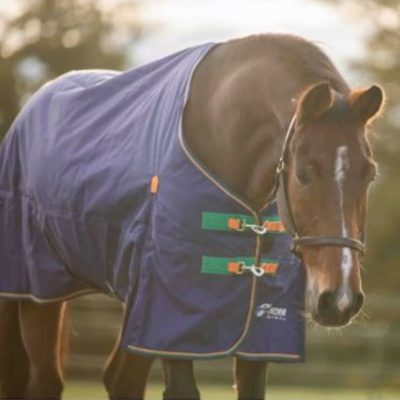 Shires Highlander Original Turnout Rug 50g ulkoloimi