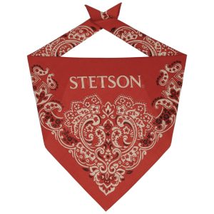 Bandana Stetson Paisley