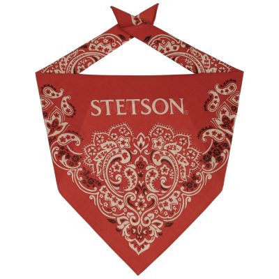 Bandana Stetson Paisley