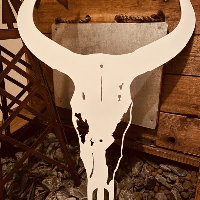 All That Western Longhorn White