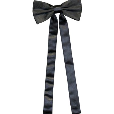Solmio Western Tie