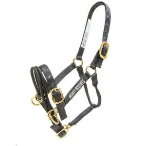 Koulutusriimu Monty Roberts Dually Halter