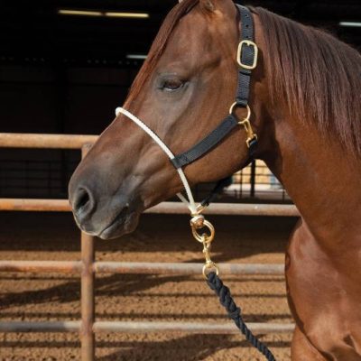 Koulutusriimu PC Rope Nose Nylon Halter