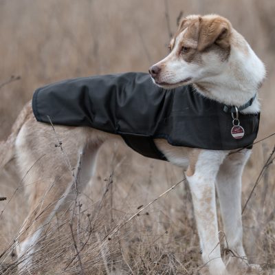 Scippis DriTec Dog Coat koiran takki