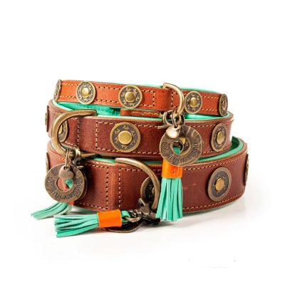 DWAM Koiran kaulapanta Urban