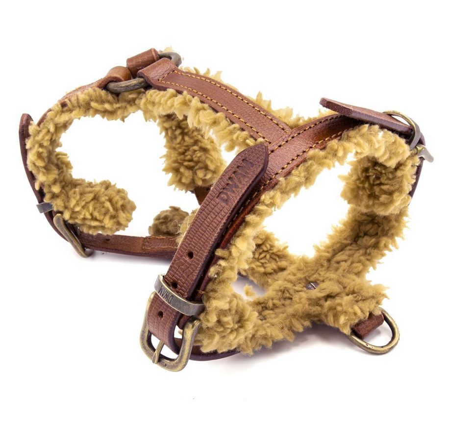 DWAM koiran valjaat Teddy Dog Harness
