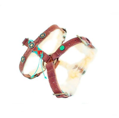 DWAM koiran valjaat Paddy Lee Dog Harness