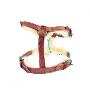 DWAM koiran valjaat Paddy Lee Dog Harness
