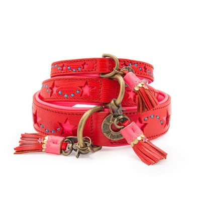 DWAM Koiran kaulapanta Pink Star
