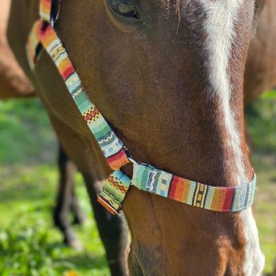 Riimu Mutt Dog & Co Horse Halter