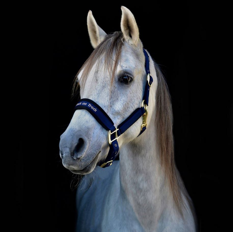 Riimu Back on Track Werano