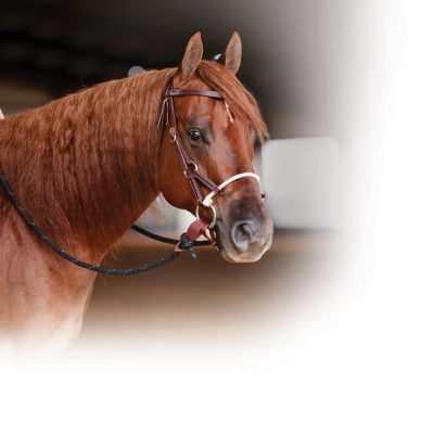 Professional's Choice Ranch Combination Bridle