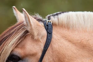 Naruriimu & köysisetti EDIX Resi Ropehalter